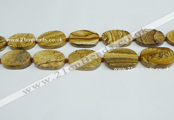 CNG7053 15.5 inches 20*30mm - 22*35mm freeform picture jasper beads