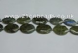 CNG7098 25*35mm - 35*45mm faceted freeform labradorite beads