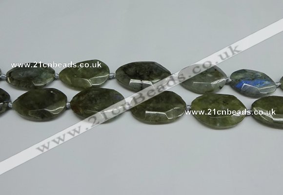 CNG7098 25*35mm - 35*45mm faceted freeform labradorite beads