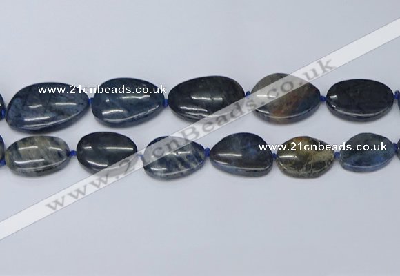 CNG7116 15.5 inches 20*25mm - 30*40mm freeform blue dumortierite beads