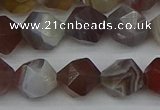 CNG7347 15.5 inches 10mm faceted nuggets botswana agate beads