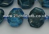 CNG7457 15.5 inches 12*16mm - 15*20mm faceted freeform apatite beads