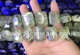 CNG7475 15.5 inches 18*25mm - 20*28mm faceted freeform prehnite beads