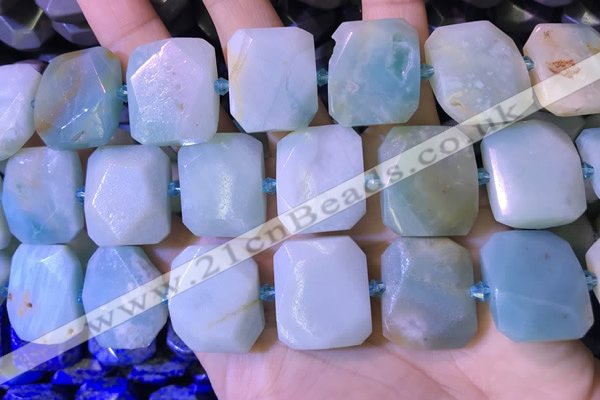 CNG7477 15.5 inches 18*25mm - 20*28mm faceted freeform amazonite beads