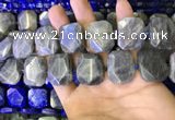 CNG7480 15.5 inches 18*25mm - 20*28mm faceted freeform labradorite beads