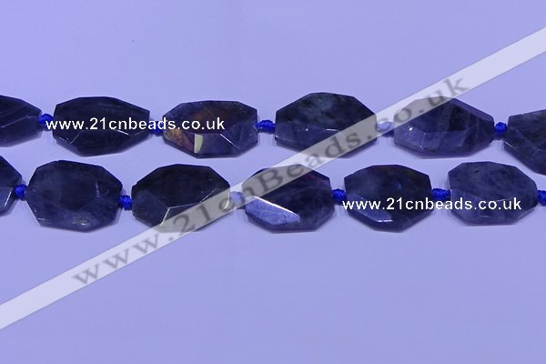 CNG7517 15.5 inches 25*35mm - 30*40mm faceted freeform labradorite beads