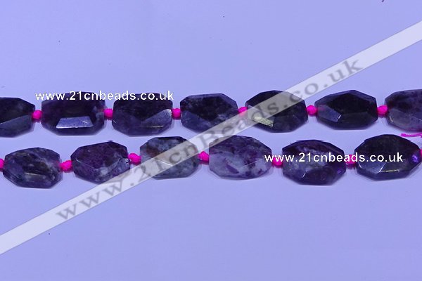 CNG7525 15.5 inches 18*25mm - 25*35mm faceted freeform tourmaline beads