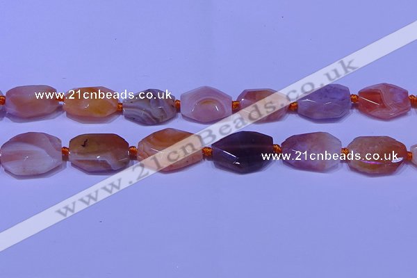 CNG7528 18*25mm - 25*35mm faceted freeform red Botswana agate beads