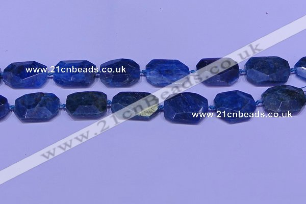 CNG7533 15.5 inches 18*25mm - 25*35mm faceted freeform apatite beads