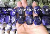 CNG7562 15.5 inches 18*25mm - 20*28mm faceted freeform sodalite beads