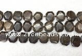 CNG7568 15.5 inches 18*25mm - 20*28mm faceted freeform bronzite beads