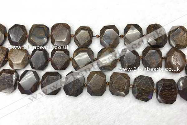 CNG7568 15.5 inches 18*25mm - 20*28mm faceted freeform bronzite beads