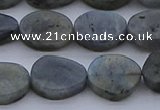 CNG7578 15.5 inches 10*14mm - 13*18mm freeform labradorite beads