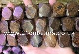 CNG7582 15.5 inches 18*25mm - 20*28mm faceted freeform bronzite beads