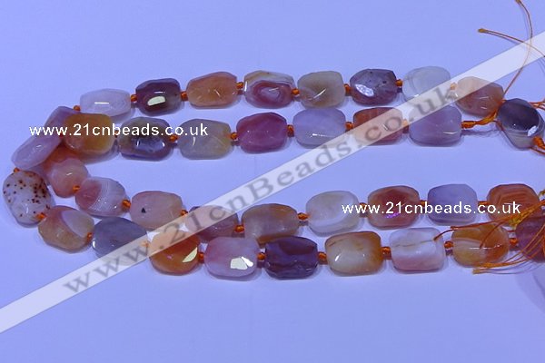 CNG7621 12*16mm - 13*18mm faceted freeform red botswana agate beads