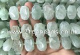 CNG7753 13*18mm - 15*25mm faceted freeform light prehnite beads