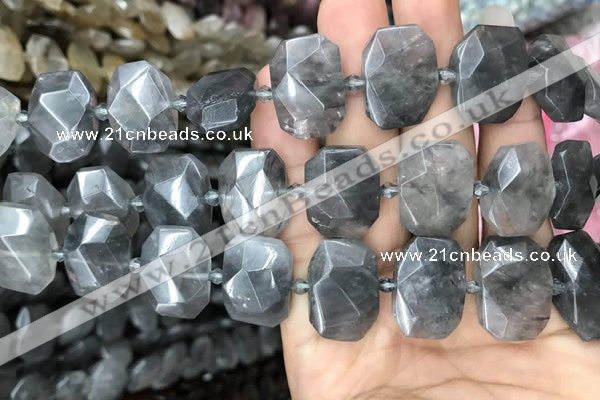 CNG7755 13*18mm - 15*25mm faceted freeform cloudy quartz beads