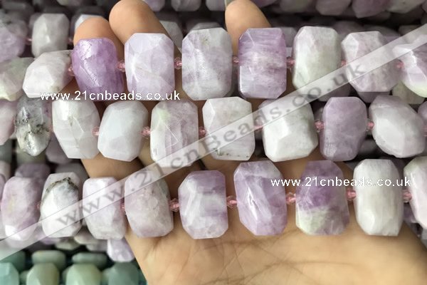 CNG7763 13*18mm - 15*25mm faceted freeform kunzite beads