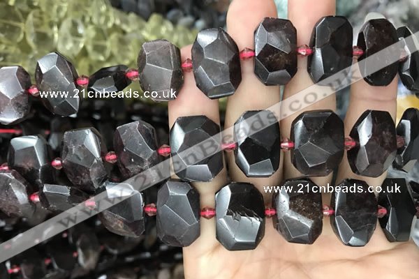 CNG7768 13*18mm - 15*25mm faceted freeform garnet beads