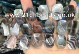 CNG7773 13*18mm - 15*25mm faceted freeform Botswana agate beads