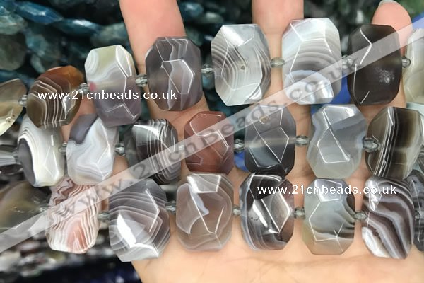 CNG7773 13*18mm - 15*25mm faceted freeform Botswana agate beads