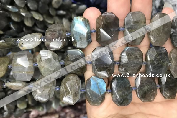 CNG7774 13*18mm - 15*25mm faceted freeform labradorite beads