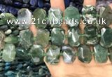 CNG7783 15.5 inches 13*18mm - 15*25mm faceted freeform moss agate beads