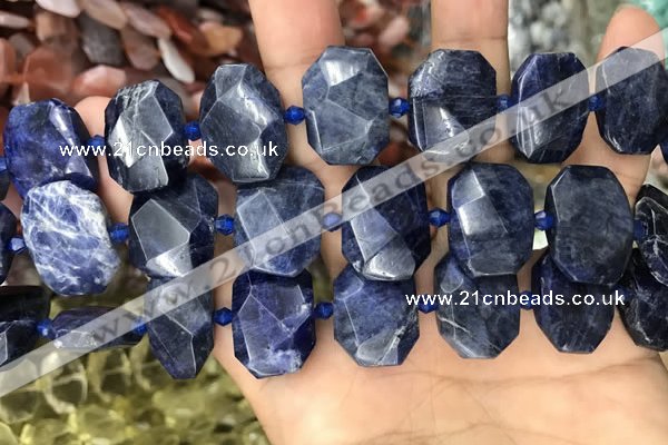 CNG7788 15.5 inches 13*18mm - 15*25mm faceted freeform sodalite beads