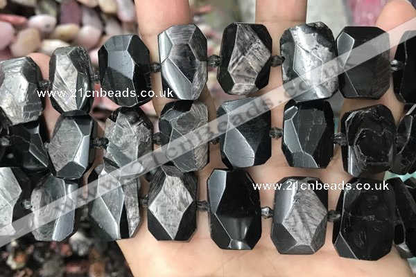 CNG7790 13*18mm - 15*25mm faceted freeform hypersthene beads