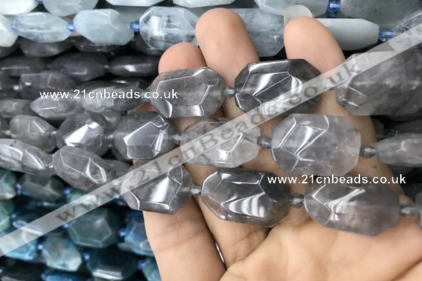 CNG7805 13*18mm - 18*25mm faceted freeform cloudy quartz beads