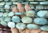 CNG7813 15.5 inches 13*18mm - 18*25mm faceted freeform amazonite beads