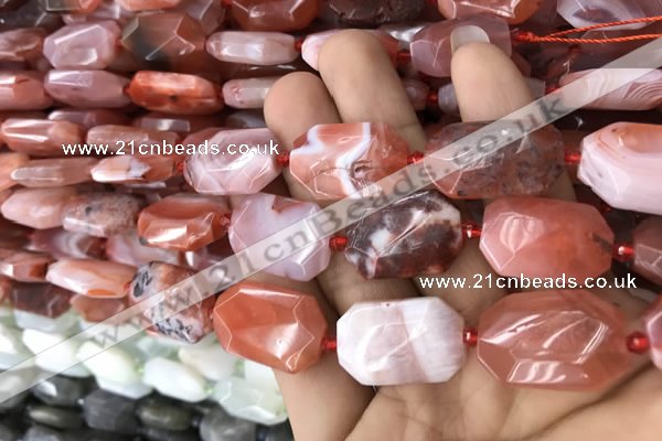 CNG7816 13*18mm - 18*25mm faceted freeform red agate beads