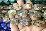 CNG7818 15.5 inches 13*18mm - 18*25mm faceted freeform rhyolite beads