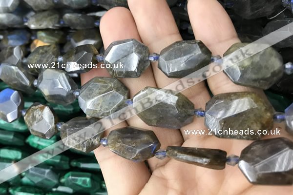 CNG7819 15.5 inches 13*18mm - 18*25mm faceted freeform labradorite beads