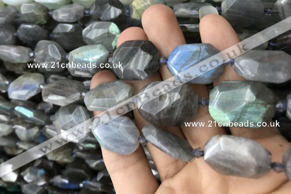 CNG7820 15.5 inches 13*18mm - 18*25mm faceted freeform labradorite beads