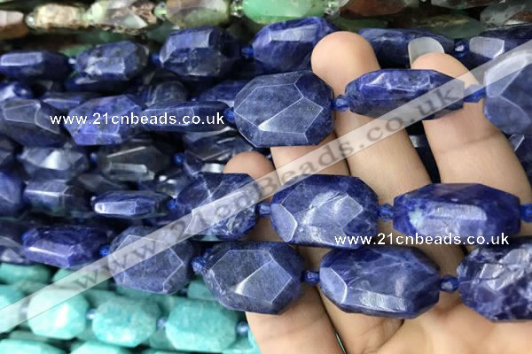 CNG7822 15.5 inches 13*18mm - 18*25mm faceted freeform sodalite beads