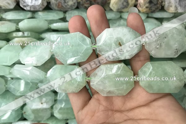 CNG7831 20*28mm - 25*35mm faceted freeform light prehnite beads