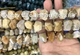 CNG7844 12*16mm - 15*20mm faceted nuggets fossil coral beads