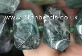 CNG7856 15.5 inches 12*16mm - 15*20mm faceted nuggets moss agate beads