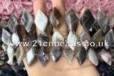 CNG7877 13*20mm - 15*25mm faceted freeform Botswana agate beads