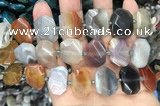 CNG7879 13*18mm - 15*25mm faceted freeform Botswana agate beads