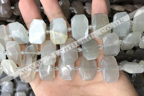 CNG7880 13*18mm - 15*25mm faceted freeform moonstone beads