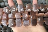 CNG7885 13*18mm - 15*25mm faceted freeform moonstone beads