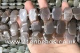 CNG7886 13*18mm - 15*25mm faceted freeform moonstone beads