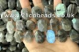 CNG7887 13*18mm - 15*25mm faceted freeform labradorite beads