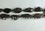 CNG7955 15.5 inches 15*25mm - 20*40mm nuggets smoky quartz beads