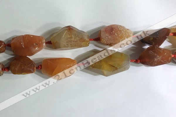 CNG7959 15.5 inches 15*25mm - 20*40mm nuggets agate beads