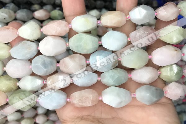 CNG8517 15.5 inches 13*17mm - 15*20mm faceted nuggets morganite beads