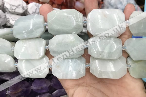 CNG8555 22*30mm - 25*35mm faceted freeform amazonite beads