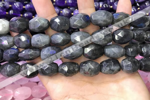 CNG8572 12*16mm - 15*20mm faceted nuggets labradorite beads